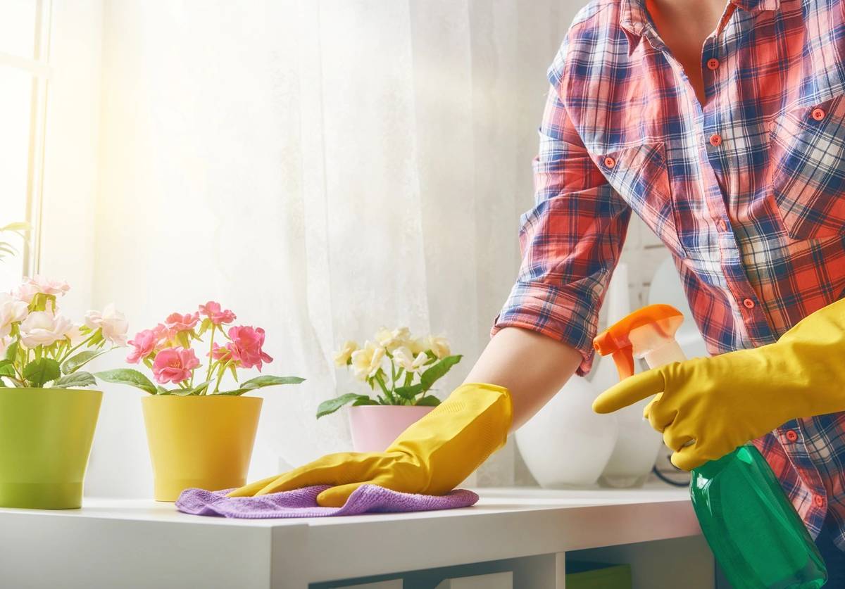 Portland Cleaning Services